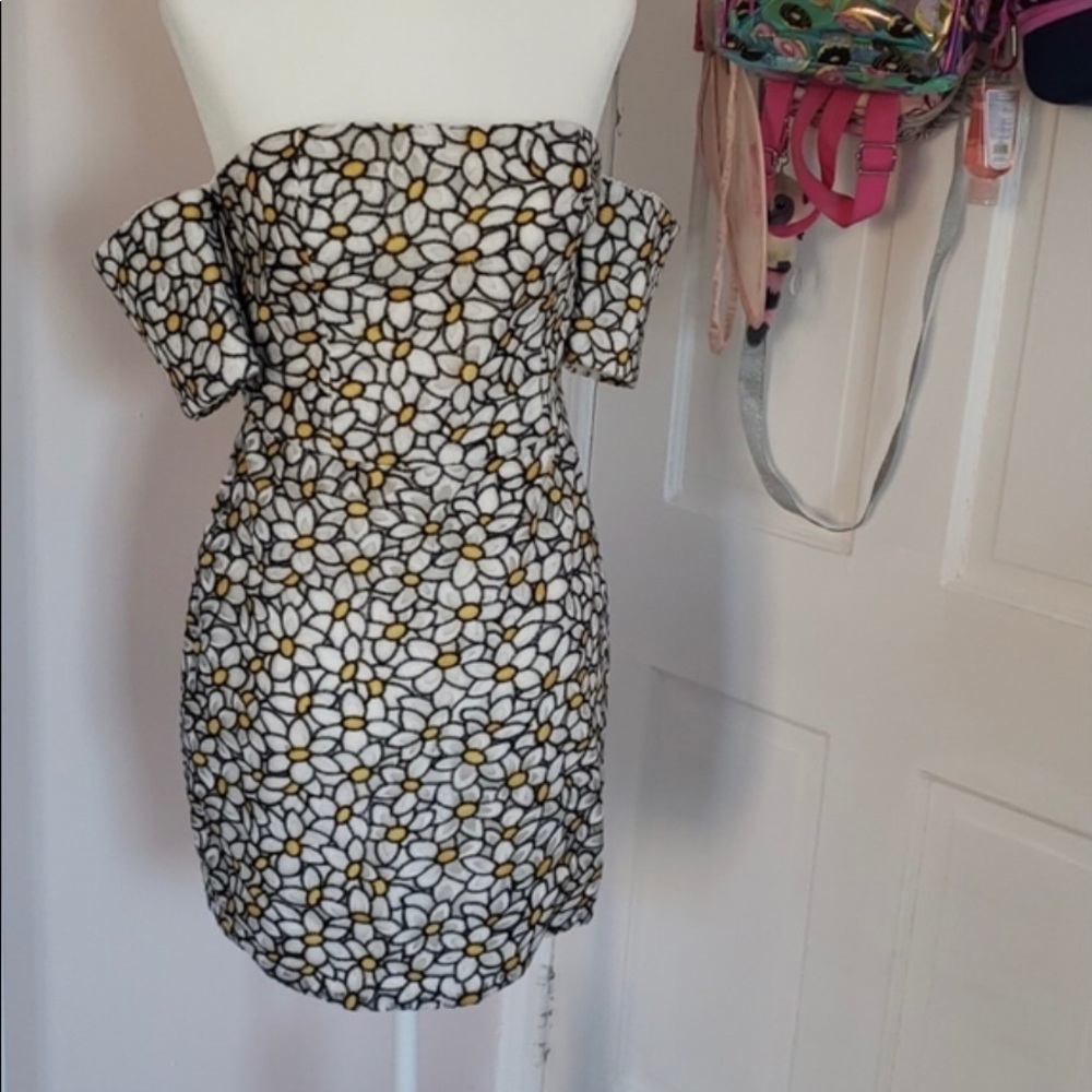 NWT NBD Sleeveless Embroidered Flower Dress